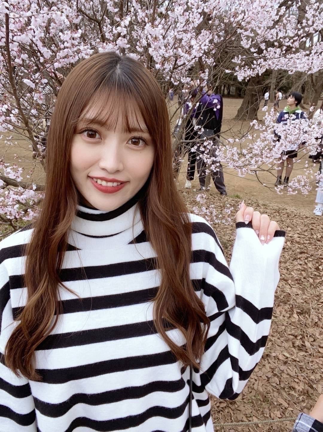 第1张图  第1张图